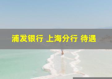 浦发银行 上海分行 待遇